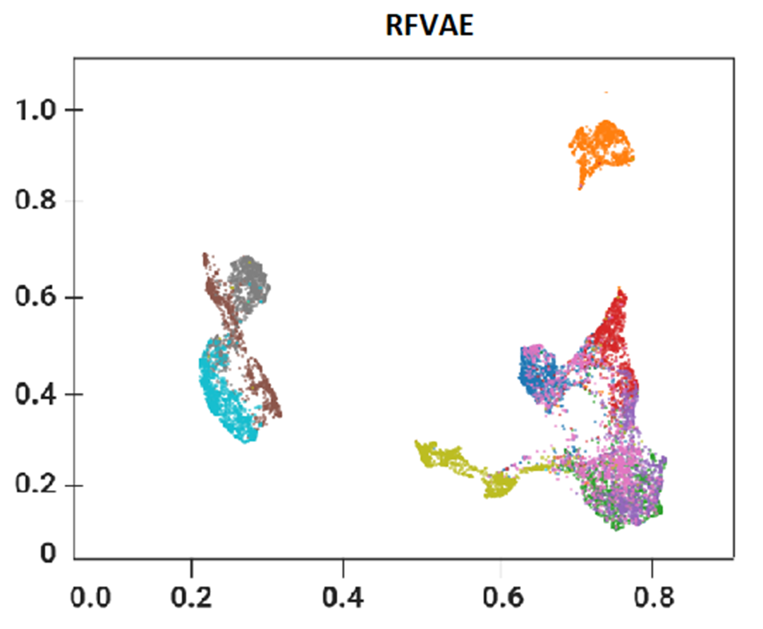 RFVAE EMNIST